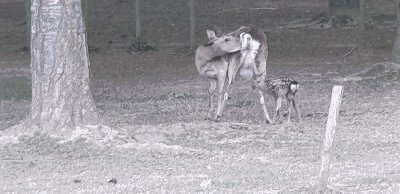 Klik om de foto op volledige groote te bekijken