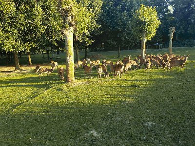 Klik om de foto op volledige groote te bekijken