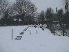 Dieren sneeuw 15 feb 2010 13.jpg