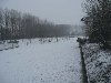 Dieren sneeuw 15 feb 2010 5.jpg