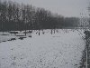 Dieren sneeuw 5 feb 2009 00014.jpg